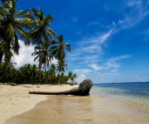 Pristine Beaches | Travel Sri Lanka | NexRoaming