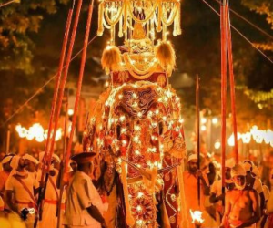 Special Events & Festivals | Travel Sri Lanka | NexRoaming