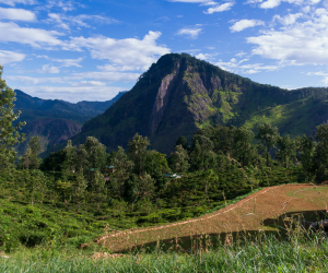 Mountains & Trails | Travel Sri Lanka | NexRoaming